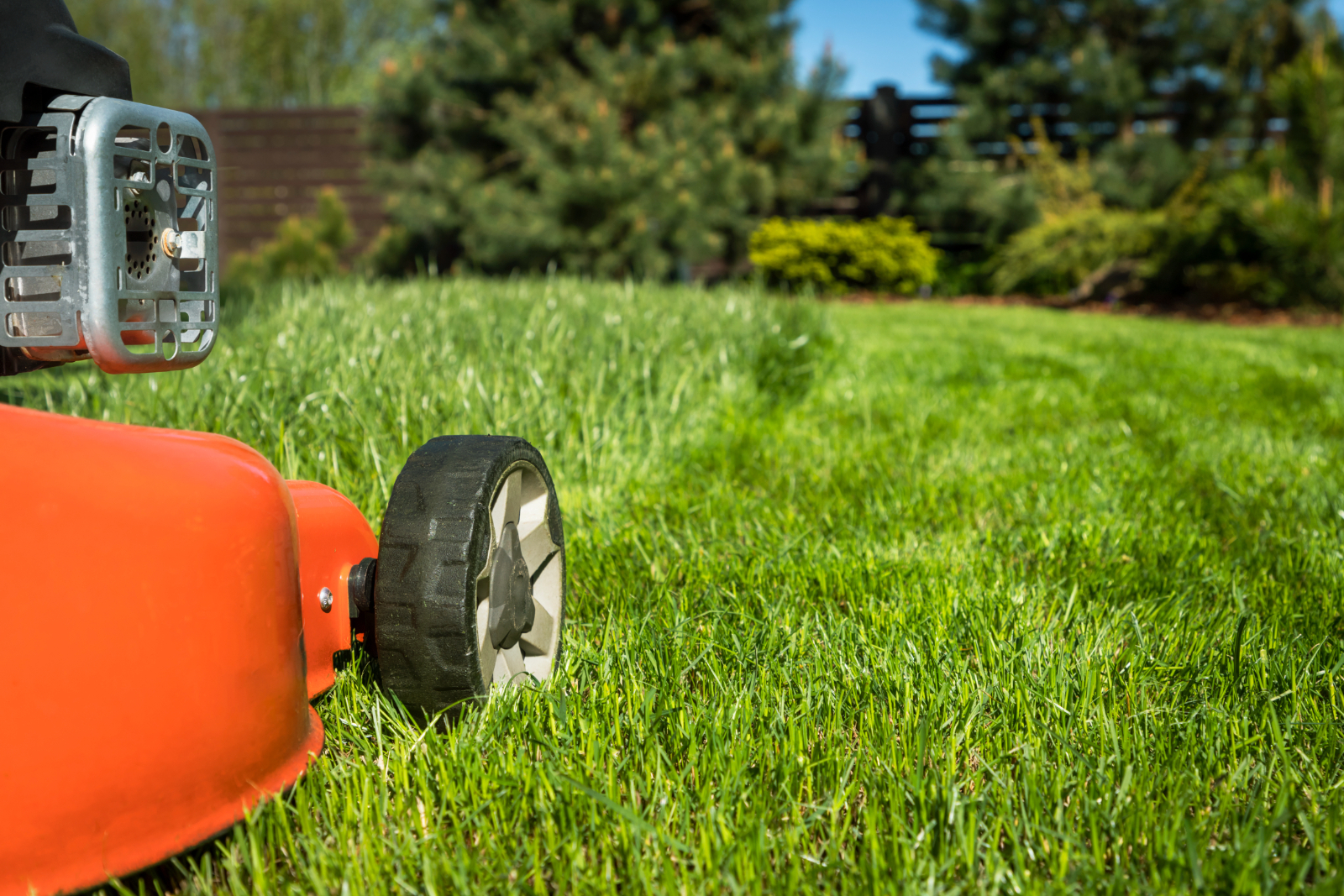 Attachments and Accessories You Need For Your Mower Image